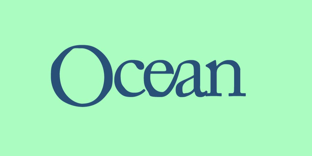 plumbing-services-dallas (5)